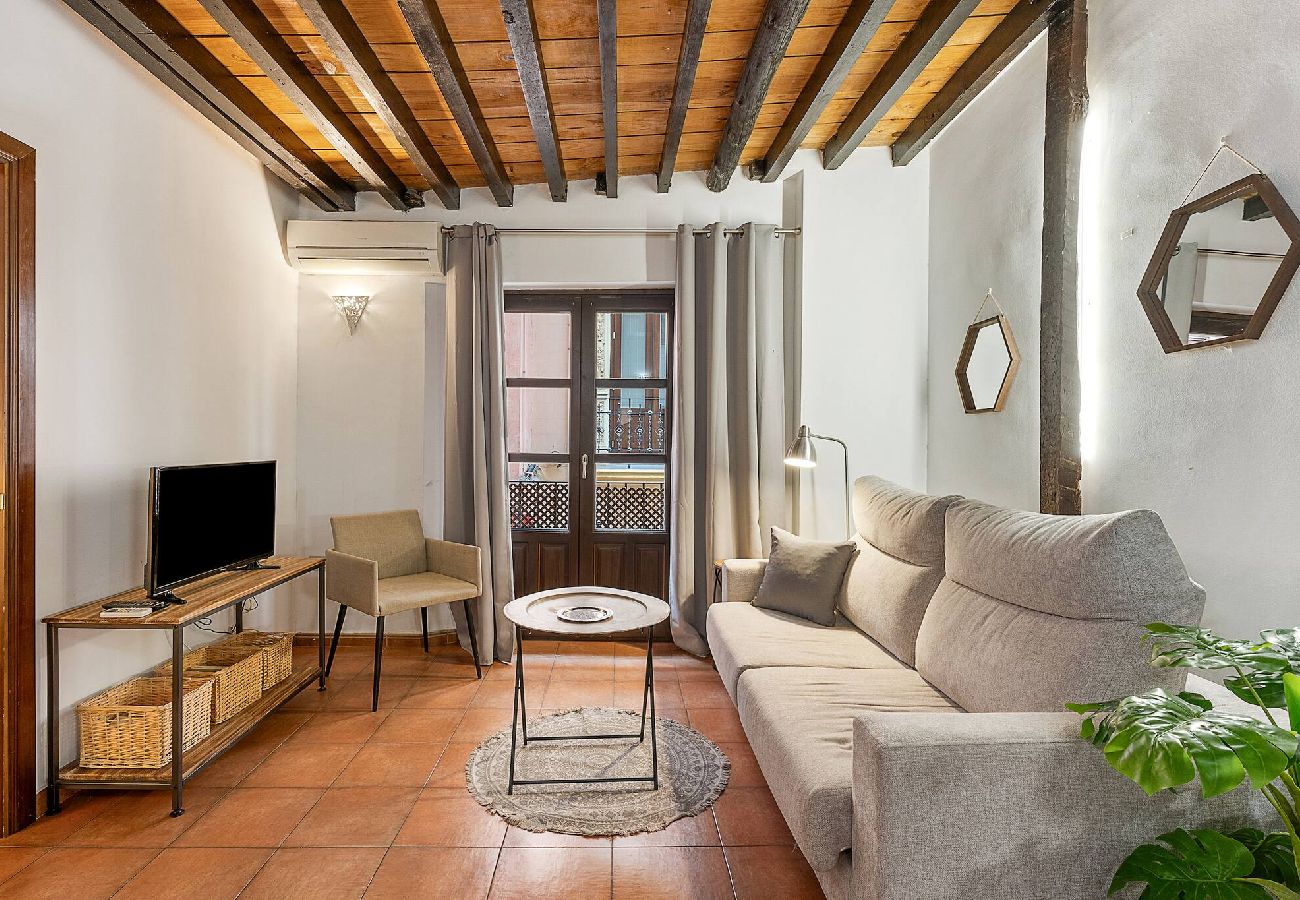 Ferienwohnung in Granada - New · Plaza nueva · Center · Cathedral · Private Parking