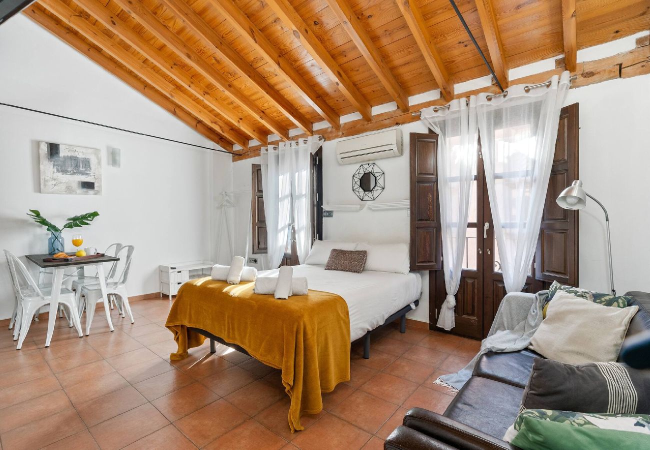 Appartamento a Granada - New · Plaza Nueva · Center · Private Terrace 